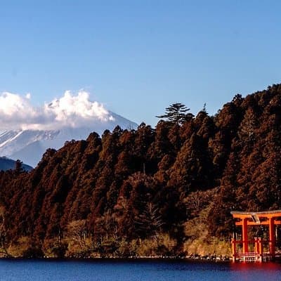 Private Hakone Tour - View of Mt. Fuji, Nature and Culture