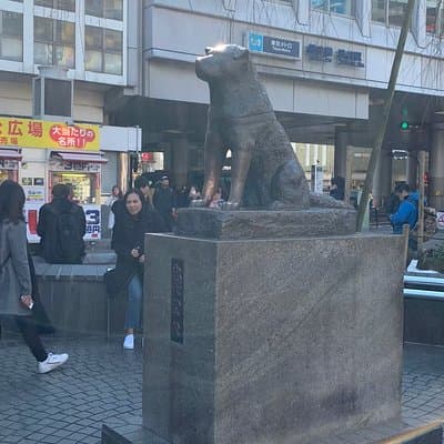 Tokyo Food and Culture tour (Shibuya and Harajyuku) 4