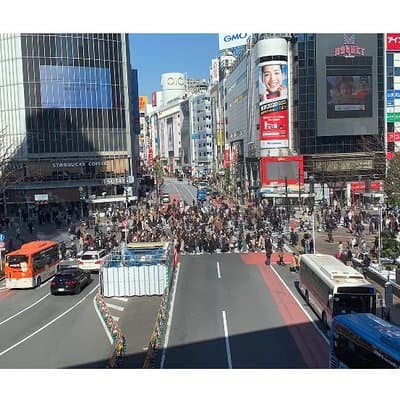 Tokyo Food and Culture tour (Shibuya and Harajyuku) 2