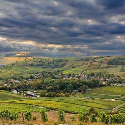 Private Full Day Tour to Loire Valley from Paris with Hotel Pick Up 2