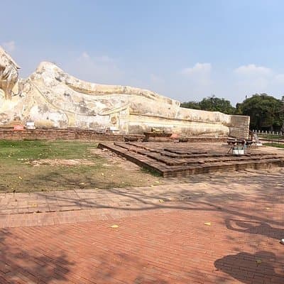 Cycling in Ayutthaya Historical Park 4