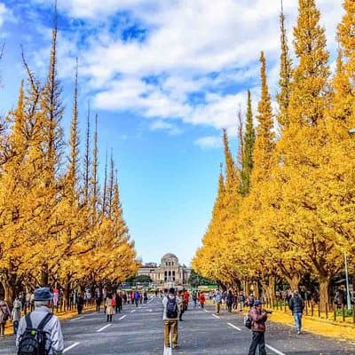 Japanese Garden & Western Architecture: Akasaka exploration tour