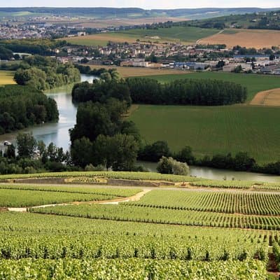 Private Guided Tour in Champagne from Paris with Moet&Chandon visit. 3