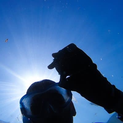 Snorkeling - Marine Park Discovery 4