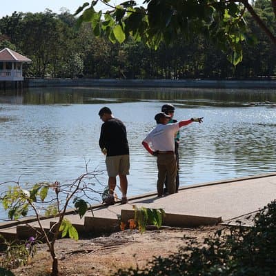 Take a E-Scooter Ride in Bangkok's Jungle 4