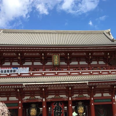 Private Tokyo Cherry Blossom Tour – Custom Sakura Viewing Spots 4