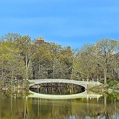 Private Guided Tour of Central Park 2