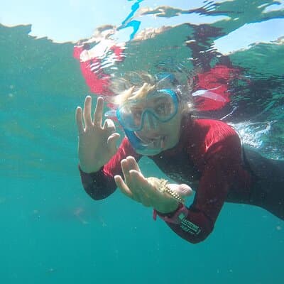 Snorkeling - Marine Park Discovery