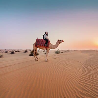 4x4 Desert Safari With Dinner and Private Pick up 5