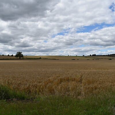 London Private Day in the Cotswolds Tour By Black Cab 5