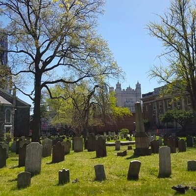 Victorian Flatbush , Brooklyn Private Tour 3