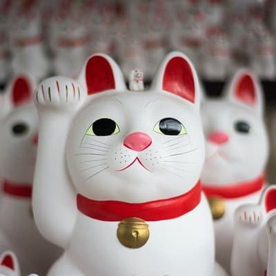 Tokyo 6 hours Customized Private Tour 2