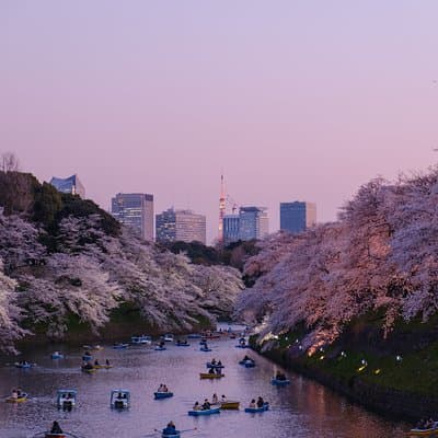 Tokyo 6 hours Customized Private Tour 3