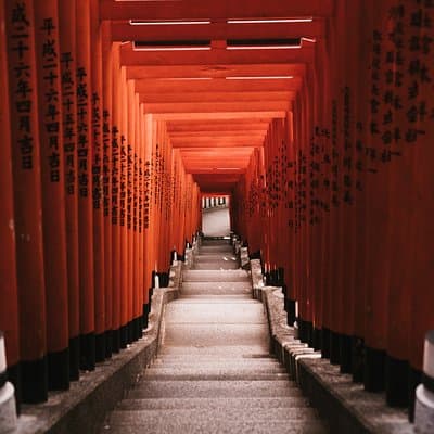 Tokyo 6 hours Customized Private Tour 5