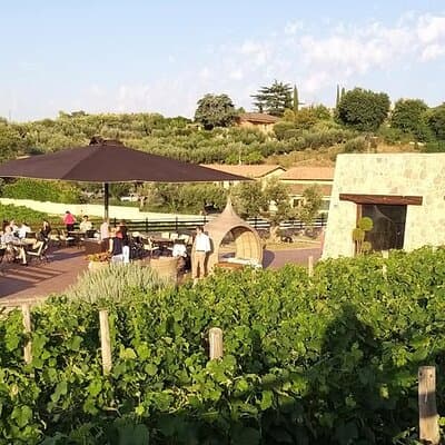 Small-Group Exclusive Winery and Wine Tasting Tour in Frascati