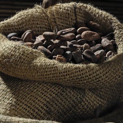 Private Dark Chocolate Tasting Tour in Paris 4