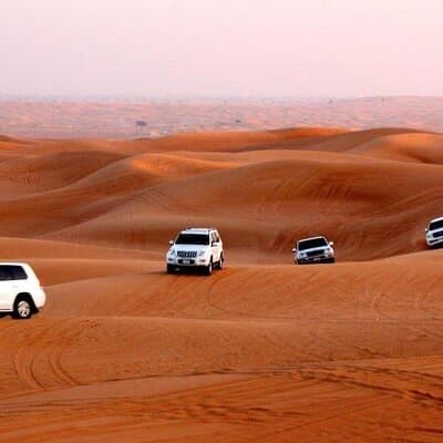 Morning Desert Safari with Quad Bike & Camel Ride & Sandboarding 5