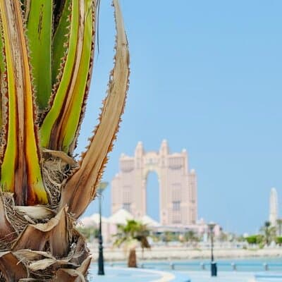 Full Day Private Tour in the UAE Capital 4