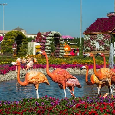 Memorable Evening at Dubai Global Village with Dubai Miracle Garden Visit !! 2