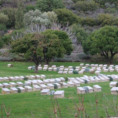 Private Gallipoli Full-Day Trip from Istanbul 5