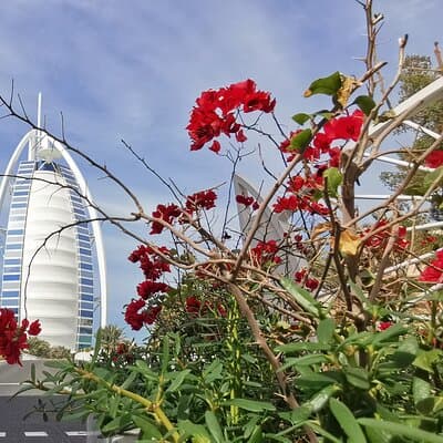 Dubai Top Five Attractions Tour With Entry Tickets 2