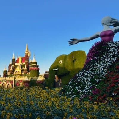Dubai Top Five Attractions Tour With Entry Tickets 3