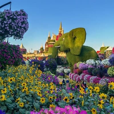 Dubai Top Five Attractions Tour With Entry Tickets 5