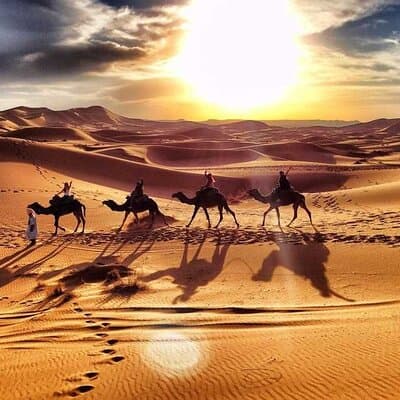 Morning Desert Safari with Sand Boarding and Dune bashing 5