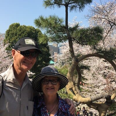 Tokyo Private Cherry Blossom Tour with a Local – Picnic Included 2