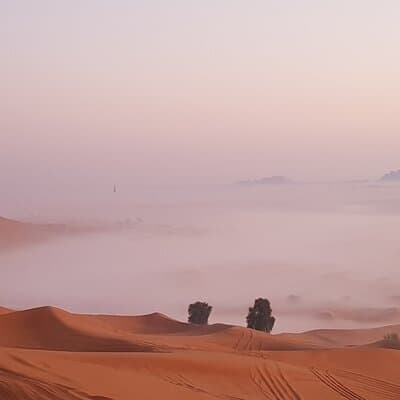 Dubai Sunrise Red Dunes Safari-( Private Tour ) 4