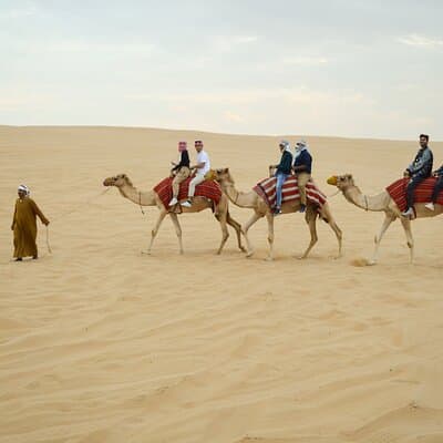 Morning Camel Safari Tour with Breakfast 2