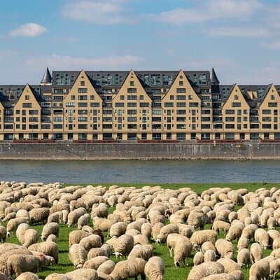 Cologne Private Roundtrip transfer incl. chocolate museum tickets 4