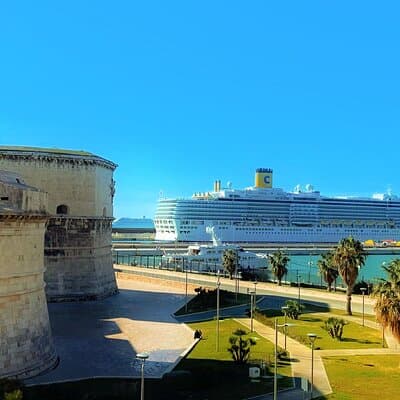 Civitavecchia Cruise Ship to Fiumicino Airport Private Transfer