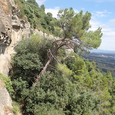 Climbing Adventure in Via ferrata of Centelles