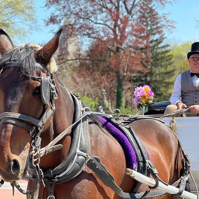 NYC Central Park Horse and Carriage Ride: Long Ride 45 min