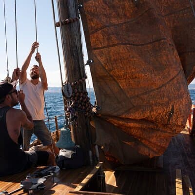 8-Hour Whale Watching in Barcelona 2