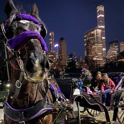 NYC Central Park & Rockefeller Center Private Horse Carriage Tour 3