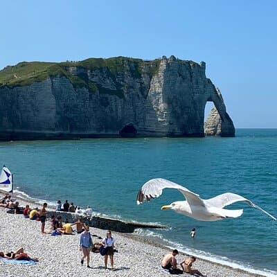 Normandy Rouen, Honfleur, Etretat Small group Day Trip from Paris