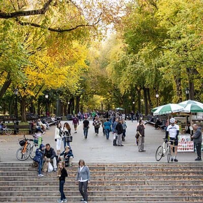 Central Park and 5th Avenue Walking Tour 3
