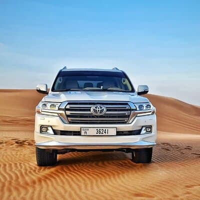 Dubai Morning Desert Safari with Sandboarding & Camel Ride 4