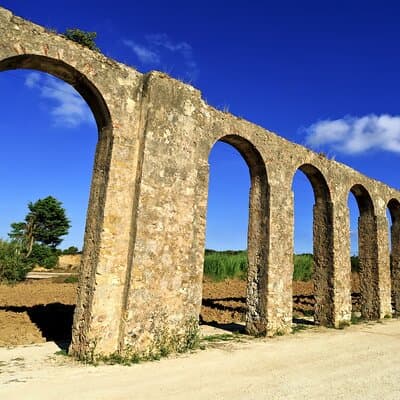 Full Day Private Transfer - From Lisbon to Porto Tour 4