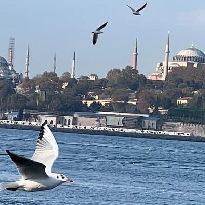 Istanbul Airport or Cruise Ship Private Layover Tour 2