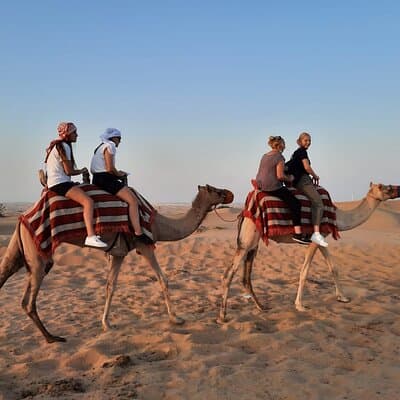 Evening Desert Safari in Dubai with Dune Bashing , Camel Ride and BBQ Dinner 3