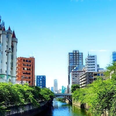 Licensed Guide Tokyo Seven Lucky Gods Temple and Shrine Tour 3