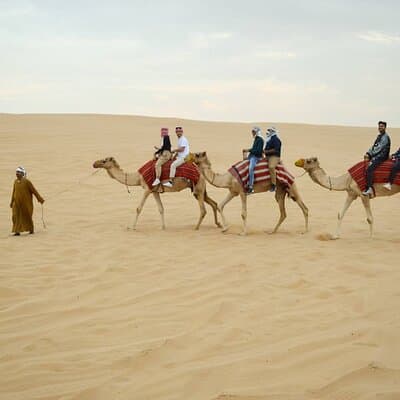 Evening Desert Safari Tour with Sand Surfing, BBQ Dinner (Exclusive Car) 5