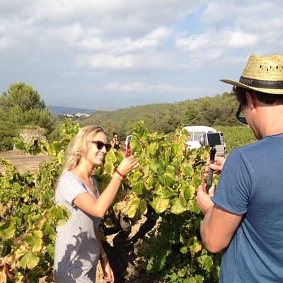 Penedes and Cava Winery Small Group Tour 5