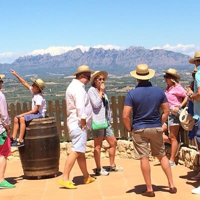 Penedes and Cava Winery Small Group Tour 4