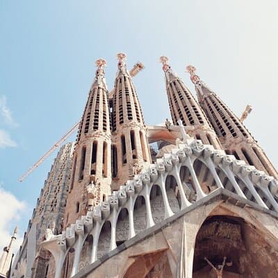 Park Güell and Sagrada Familia Private Tour 2