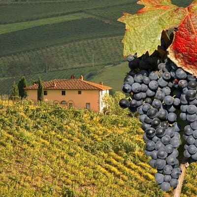 Pienza and Montepulciano by Tuscan Hills from Rome Private Tour 2