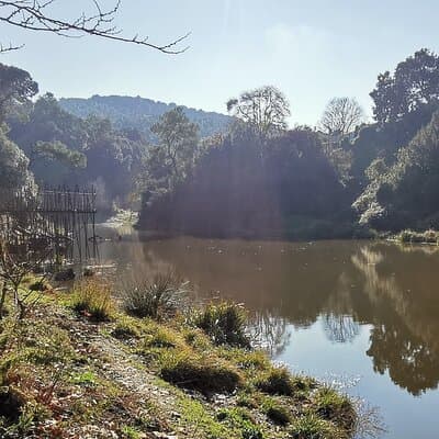 Photography route through the secret nature of Barcelona 2